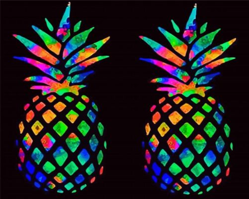 Colorful Pineapples paint by numbers