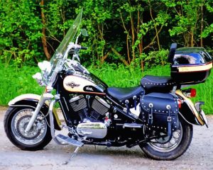 Black Kawasaki Vulcan Classic paint by number p