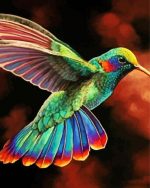 Rainbow Hummingbird paint by number p