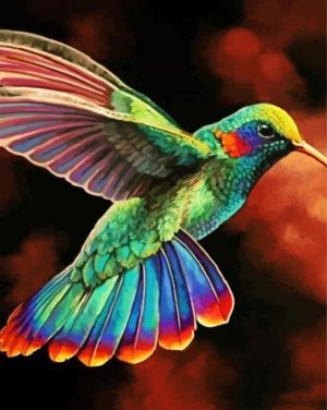Rainbow Hummingbird paint by number p
