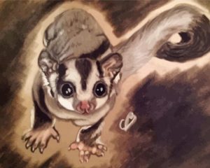 Sugar Glider Art paint by numbers