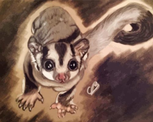 Sugar Glider Art paint by numbers