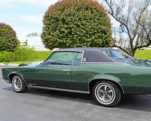 Green 1969 Pontiac Grand Prix paint by number p