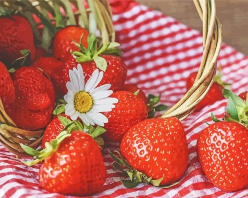 Aesthetic Strawberry And Daisies paint by numbers