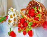 Aesthetic Strawberry And Daisies paint by numbers