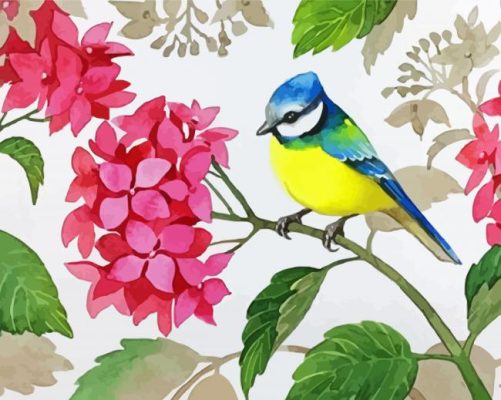 Aesthetic Bird With Hydrangea paint by numbers