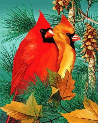 Cardinal Birds paint by numbers