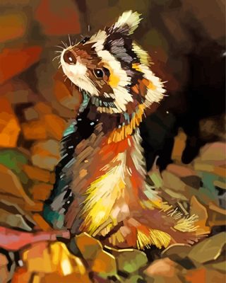 Cute Black Footed Ferret paint by numbers