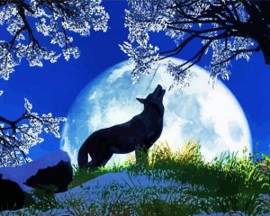 Moon Wolf Howling paint by number p