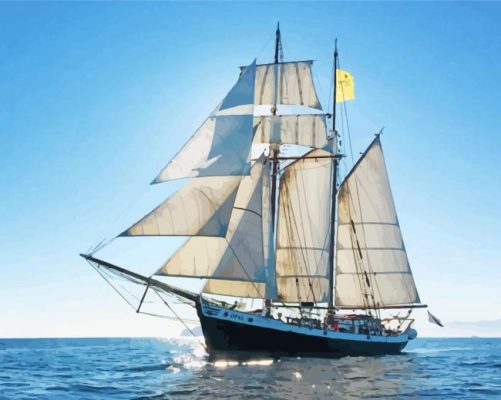 Schooner White Ship paint by number p