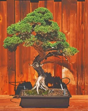 Bonsai Tree paint by number