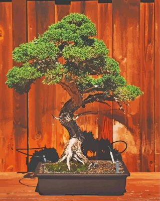 Bonsai Tree paint by number