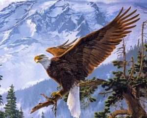 Eagle On A Tree paint by numbers