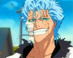 Grimmjow Jaegerjaquez Anime paint by numbers