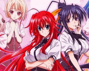 High School Dxd Characters paint by numbers