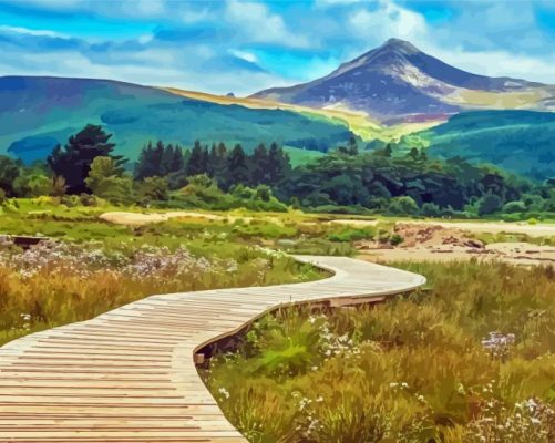 Isle Of Arran Landscape paint by numbers
