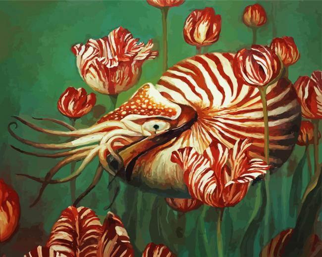 Nautilus And Flowers paint by numbers