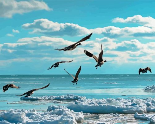 Ocean With Birds paint by numbers