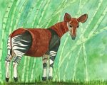 Okapi Animal paint by numbers