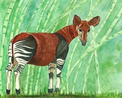 Okapi Animal paint by numbers