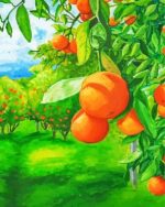 Orange Grove Art paint by numbers