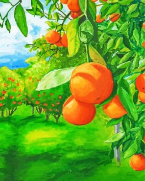 Orange Grove Art paint by numbers