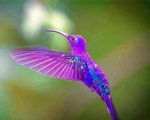 Purple Hummingbird paint by numbers