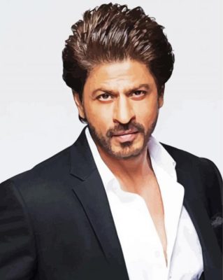 Shahrukh khan paint by numbers