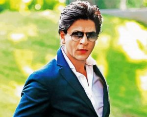 The Indian Actor Shahrukh paint by numbers