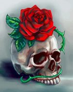 Skull And Rose Flower Art paint by numbers