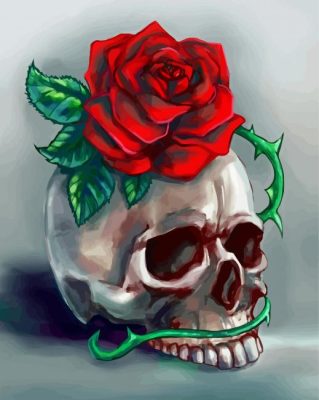 Skull And Rose Flower Art paint by numbers