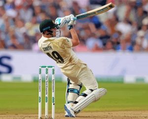 Steve Smith paint by numbers