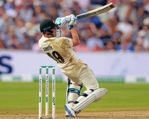 Steve Smith paint by numbers
