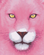 Pink Panther paint by number
