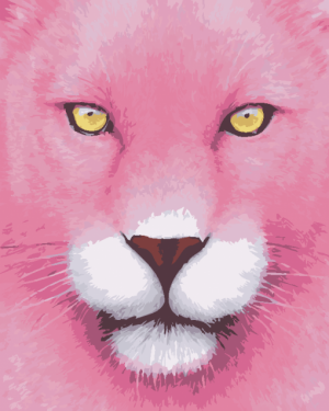 Pink Panther paint by number