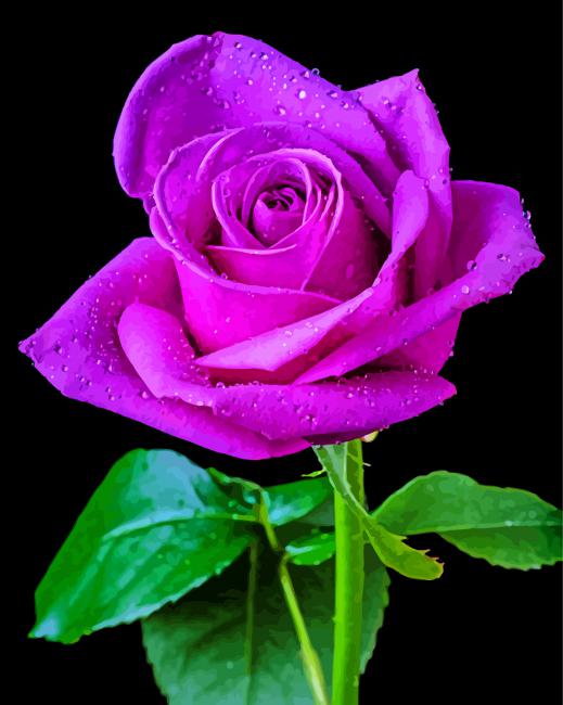 Aesthetic Purple Rose paint by numbers