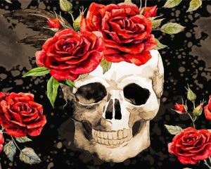 Aesthetic Skull And Roses paint by numbers