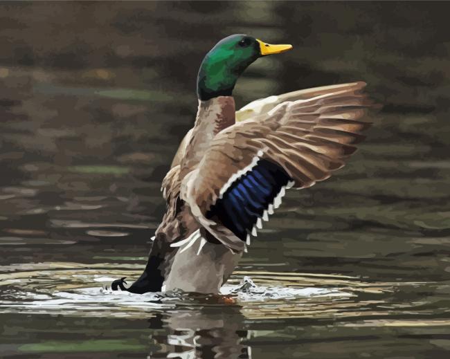 Incoming Mallard paint by numbers
