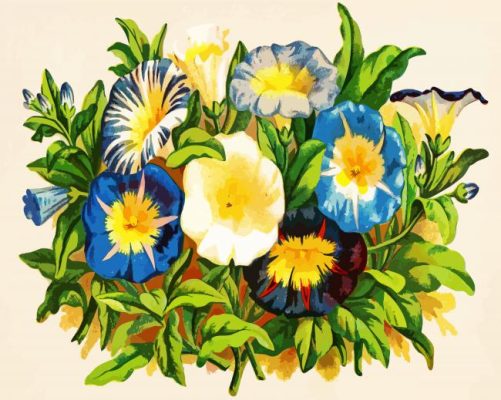 Aesthetic Morning Glory paint by numbers 