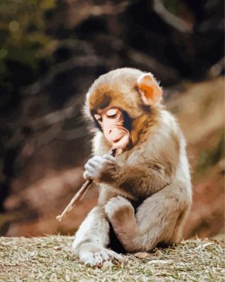 Busy Cute Little Monkey paint by numbers