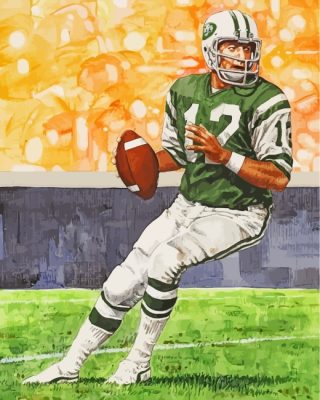 Joe Namath Jets Football Player paint by numbers