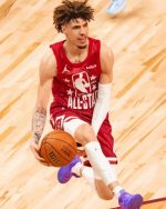 Lamelo Ball paint by numbers