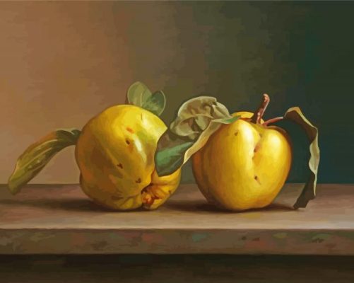 Vintage Quinces paint by numbers