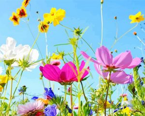 Wild Flower Meadow paint by number