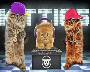 Dj Cats Dancers paint by numbers
