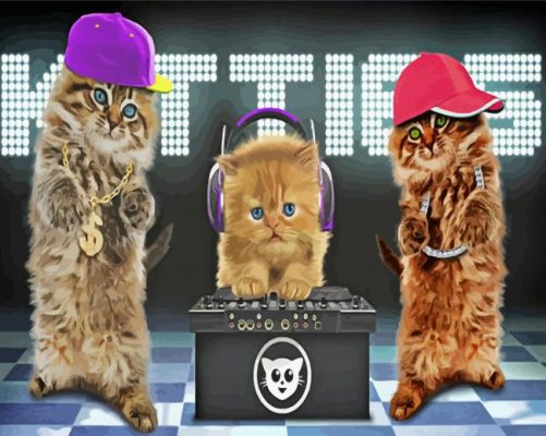 Dj Cats Dancers paint by numbers