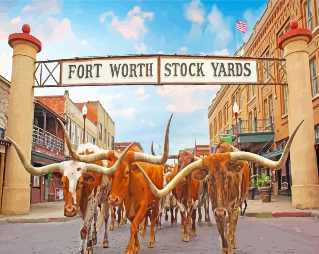 Fort Worth Texas paint by numbers
