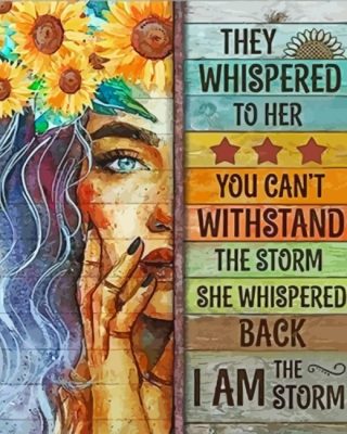 im the storm paint by numbers