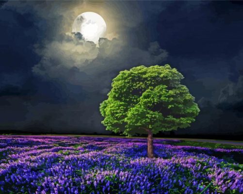 Moon And Tree paint by numbers