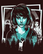 Life Is Strange paint by numbers